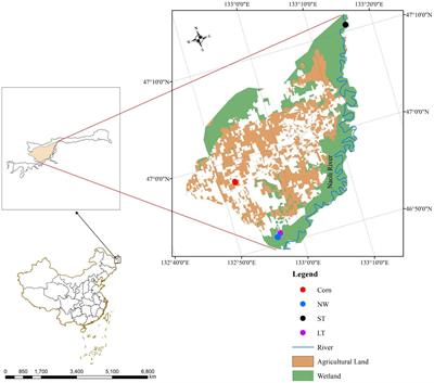 Effects of different restoration stages on soil microbial community composition and diversity in Naolihe Wetland, China